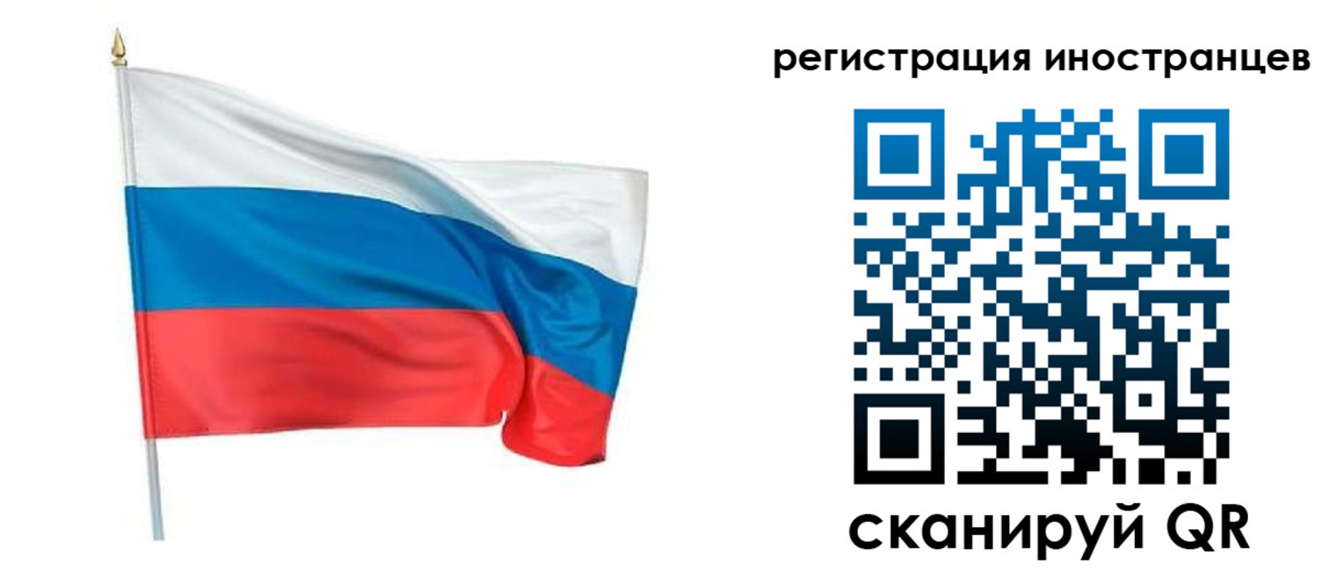прописка 2025 в Кировске
